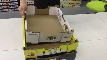 Boîte en carton ondulé de papier d'emballage de fruits et légumes ondulés de grande taille (FP020007)
