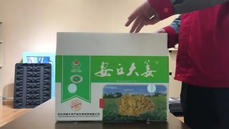 Boîte en plastique ondulé pour boîtes de légumes et de fruits pour boîtes de fruits de mer de boîtes Correx et boîte Coroplast