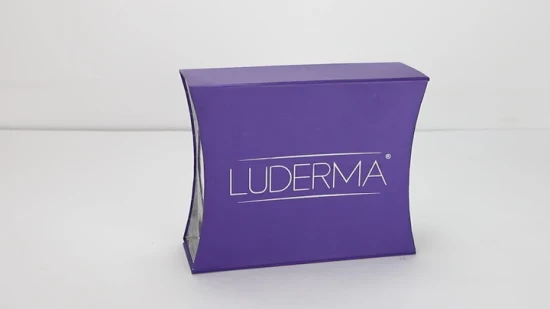 Boîte d'emballage d'aimant en carton rigide personnalisé avec poignées en gros grande boîte GIF pliante pour l'emballage de chaussures