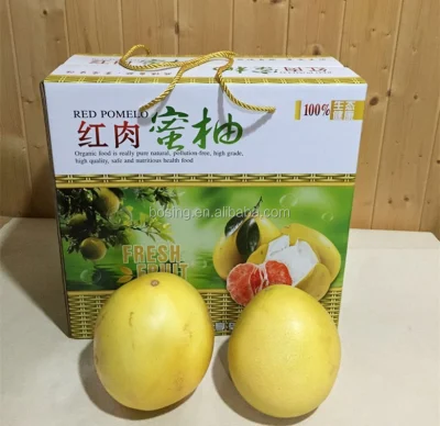 Boîte en carton d'emballage de fruits en carton ondulé pour Pomelo