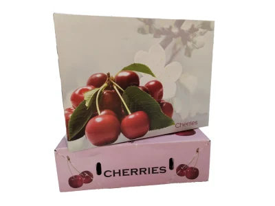 Boîte en carton ondulé pliante imprimée pour fruits frais